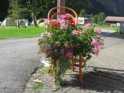Blumen vor Camping Rtti Stechelberg